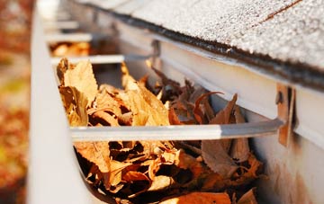 Guide gutter cleaning companies