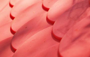 Guide plastic roof costs