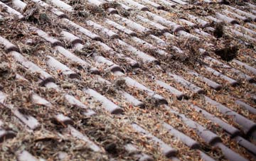 Guide roof cleaning companies