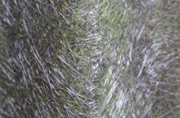 Guide fibreglass roof work